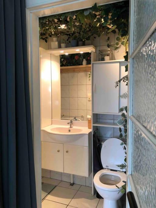 Studio Zeezucht Blankenberge Esterno foto