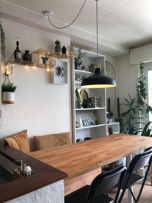 Studio Zeezucht Blankenberge Esterno foto