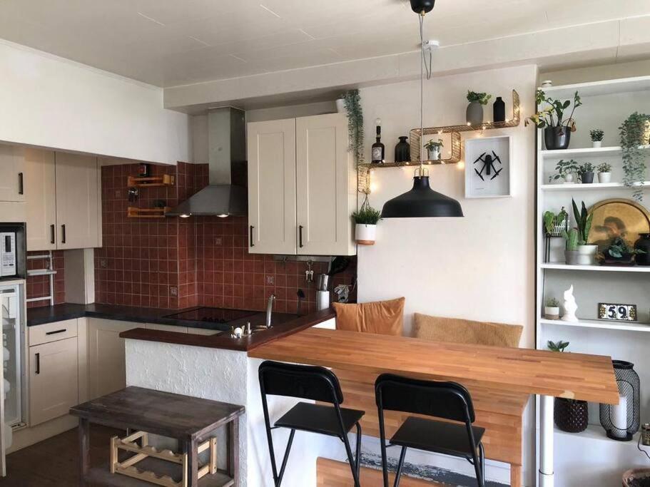 Studio Zeezucht Blankenberge Esterno foto